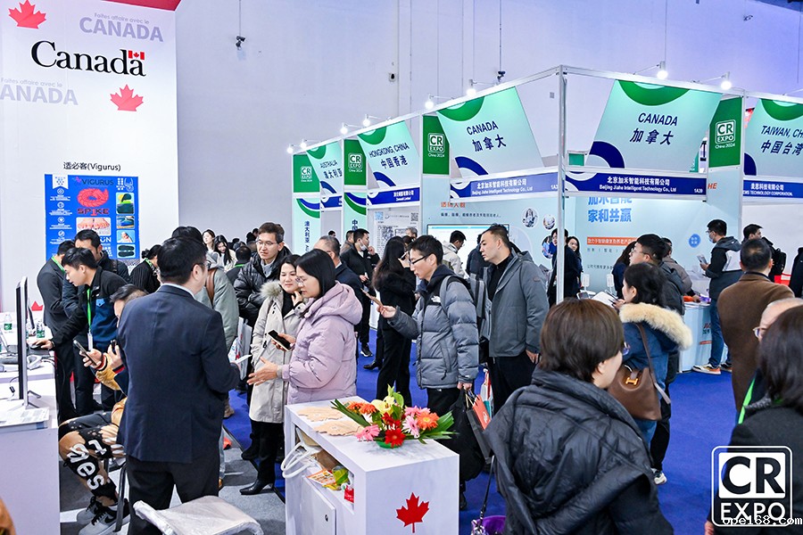 国际展区