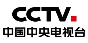 中央电视台