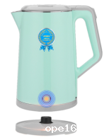 Flash voice electric kettle