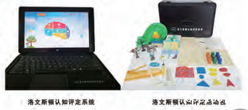 洛文斯顿认知评定套装-