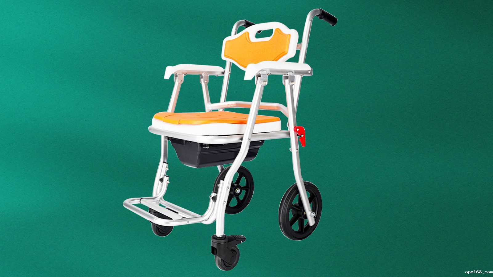 Shower and potty chair