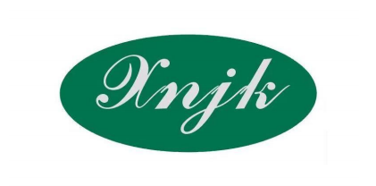 Rehabilitation training services for children with autism and developmental delays