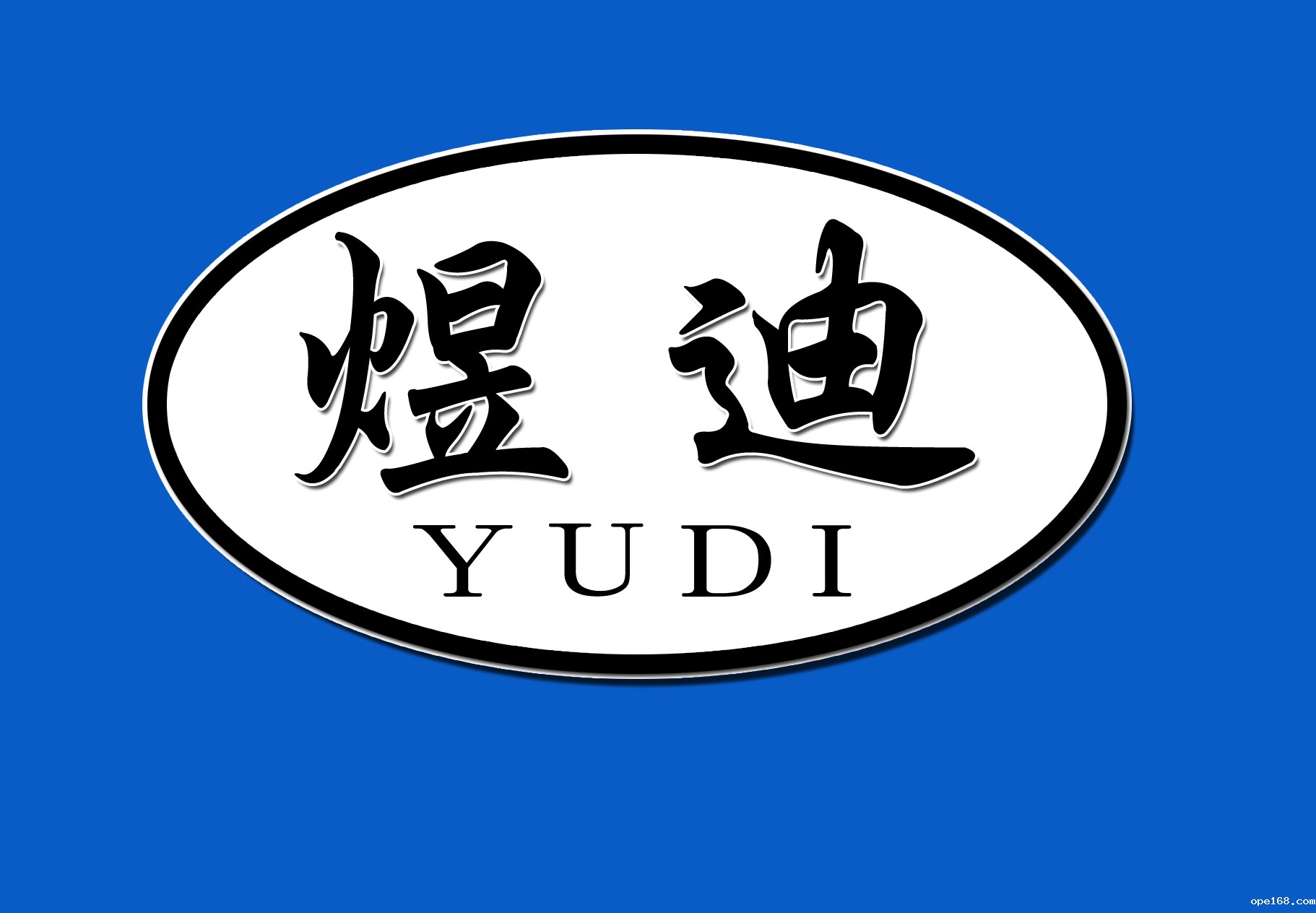 Hengshui Peidi Medical Instrument Co.,LTD-