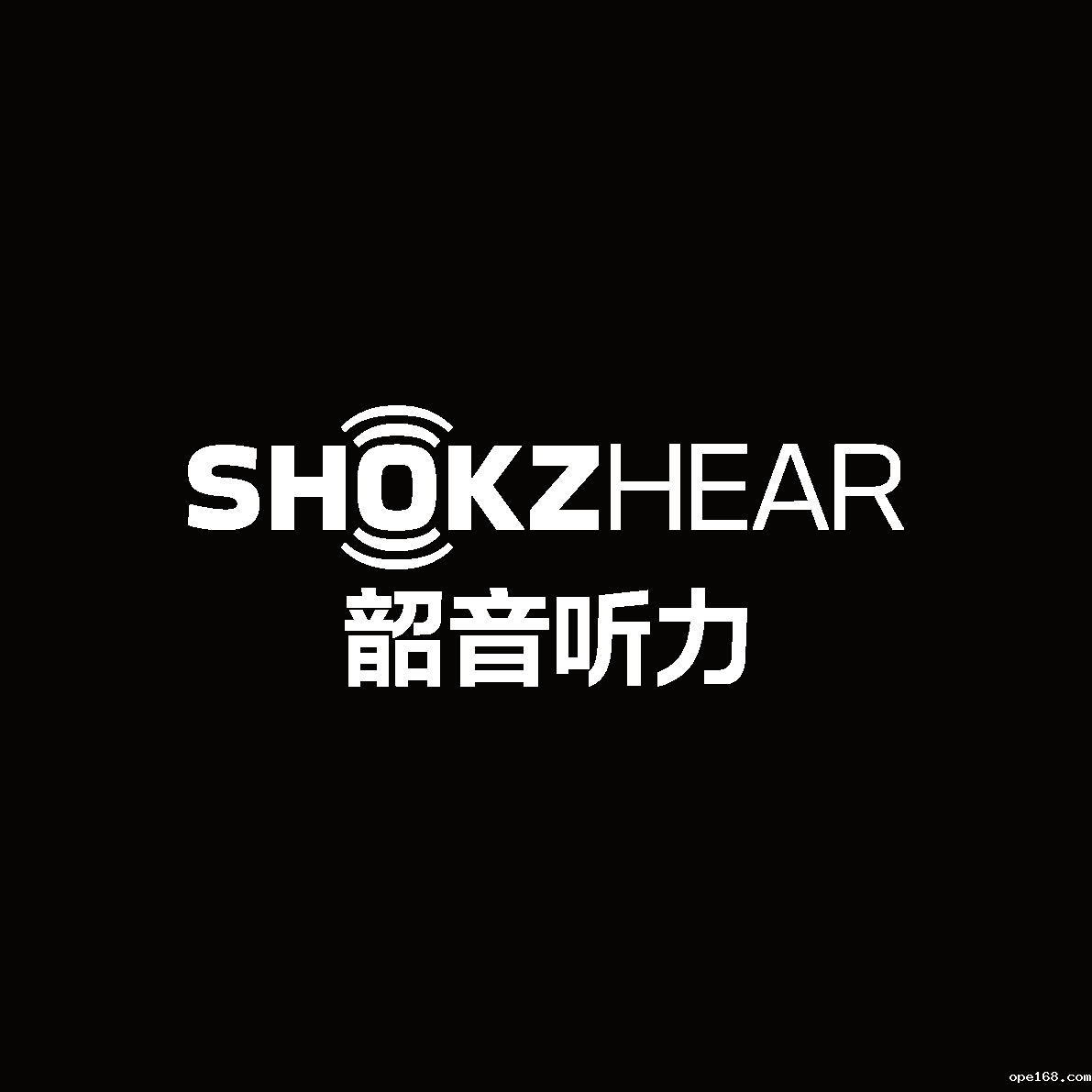 深圳市韶音听力科技有限公司-